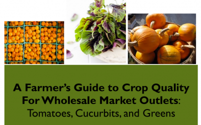 A Farmers Guide to Crop Quality For Wholesale Market Outlets: Tomatoes, Cucurbits, and Greens
