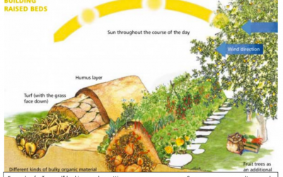 Hügelkultur Growing Beds
