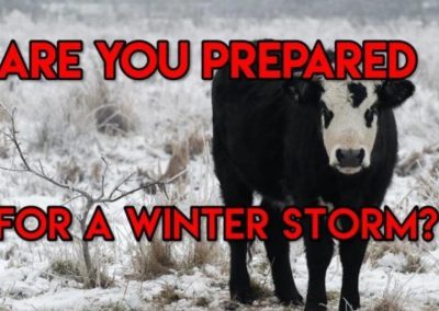 Winter Readiness