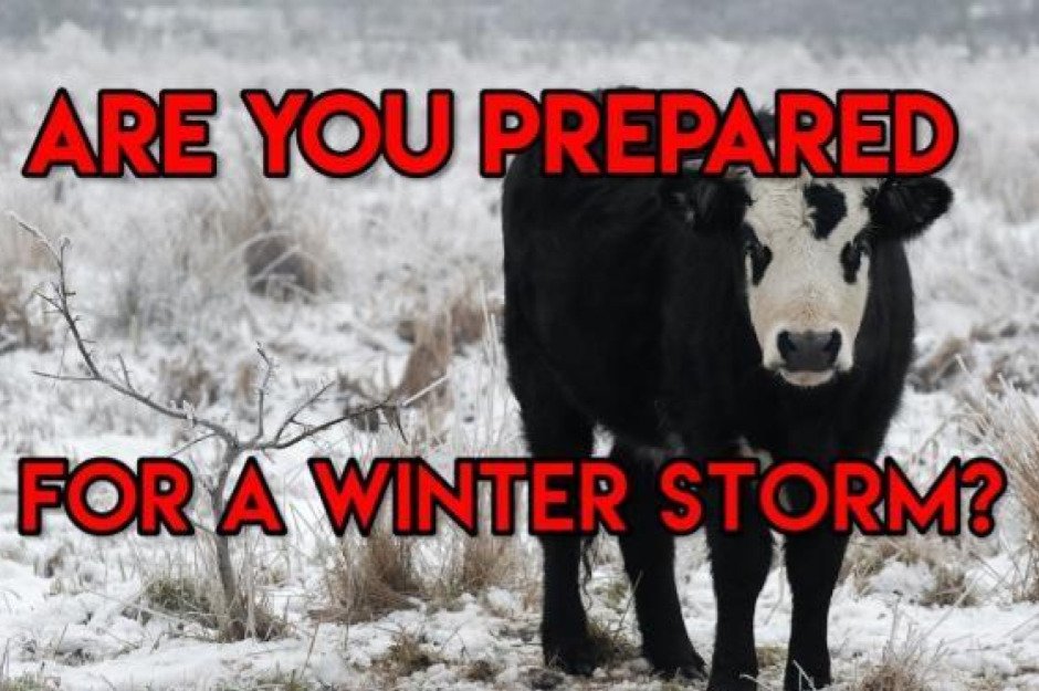 winter